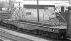 NYC 499022