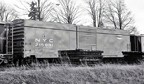 NYC 215001
