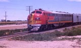 ATSF 81
