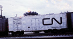 CN 209663